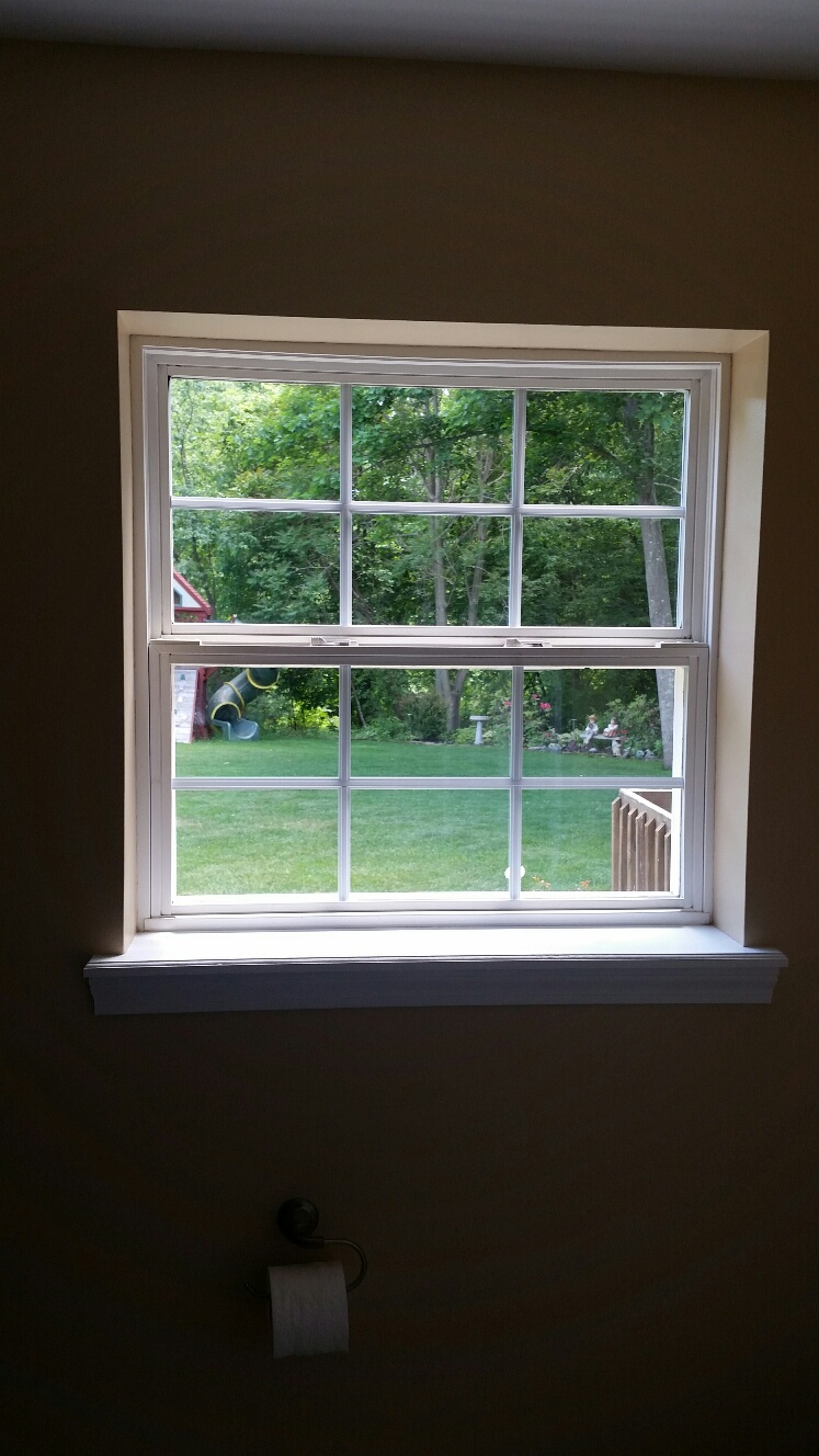 Window showing backyard through glass.